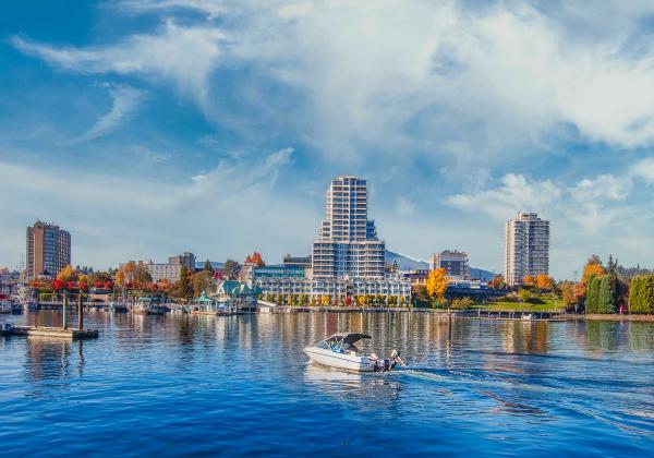 A harbour in a city with a lot of trees and grass. 